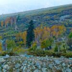 Gulmarg Adventure: A Thrilling Day Trip from Srinagar - Who Is This Tour Best Suited For?