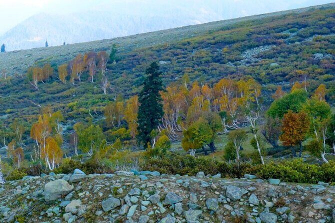Gulmarg Adventure: A Thrilling Day Trip from Srinagar - Who Is This Tour Best Suited For?