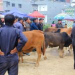 Ha Giang 3 days/ 2 nights adventure: Amazing adventure & mountain pictureques - The Practical Side: What to Expect and Considerations