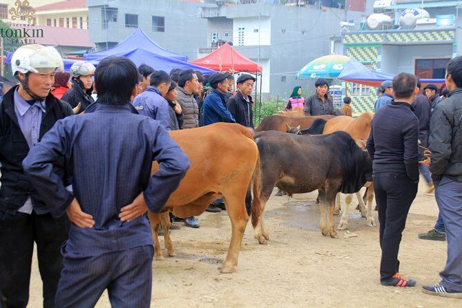 Ha Giang 3 days/ 2 nights adventure: Amazing adventure & mountain pictureques - The Practical Side: What to Expect and Considerations