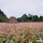 Ha Giang Loop 3D/2N Private Tour with Easy Rider - Who Will Love This Tour?