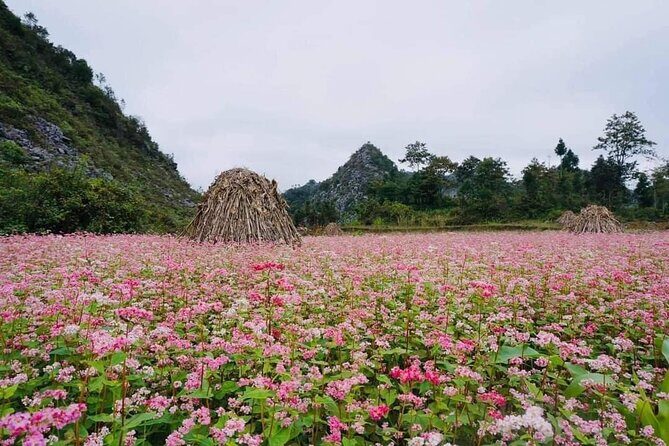 Ha Giang Loop 3D/2N Private Tour with Easy Rider - Who Will Love This Tour?