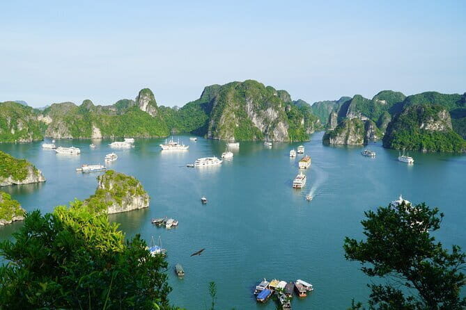 Ha Long Bay 1 Day Joined Luxury Tour - Potential Considerations
