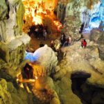 Ha Long Full Day 4-Hour Trip from Hanoi - Why This Tour Works for Most Travelers