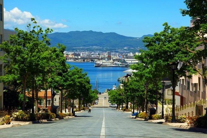 Hakodate 6hr Private Tour with Government-Licensed Guide - Who Is This Tour Best For?