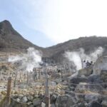 Hakone 6 hour Private Tour with Government-Licensed Guide - Practical Considerations and Tips