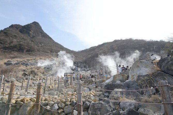 Hakone 6 hour Private Tour with Government-Licensed Guide - Practical Considerations and Tips