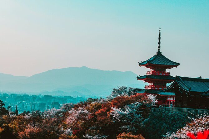 Hakone and Mt. Fuji Day Trip with Private Vehicle - Who Is This Tour Best For?