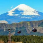 Hakone Full-Day Private Tour By Public Transportation - Final Thoughts