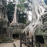 Half Day Angkor Wat Sunrise Private Tour - Who is this tour best suited for?