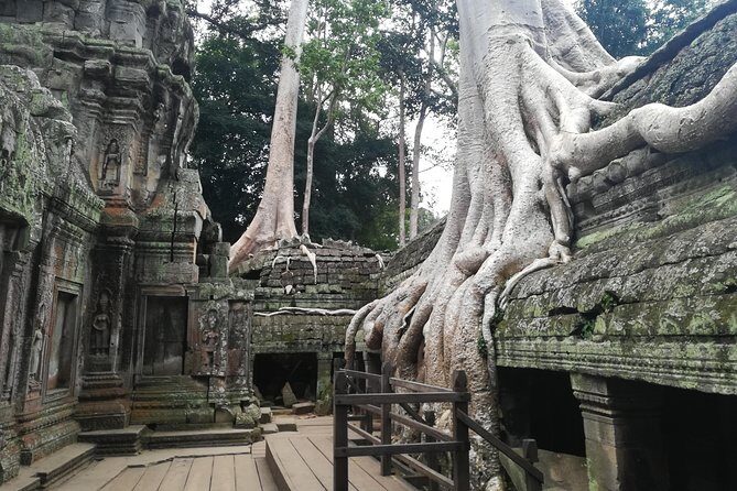 Half Day Angkor Wat Sunrise Private Tour - Who is this tour best suited for?