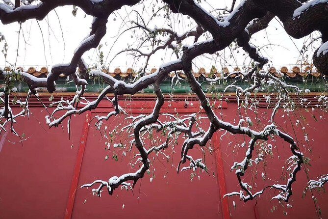Half Day Beijing Group Tour to Tiananmen Square and Forbidden City - Practical Details and What to Expect