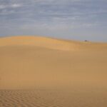 Half Day Camel Safari Sunset with Dinner Tour (Non Touristic) - Exploring the Jaisalmer Camel Safari: What to Expect