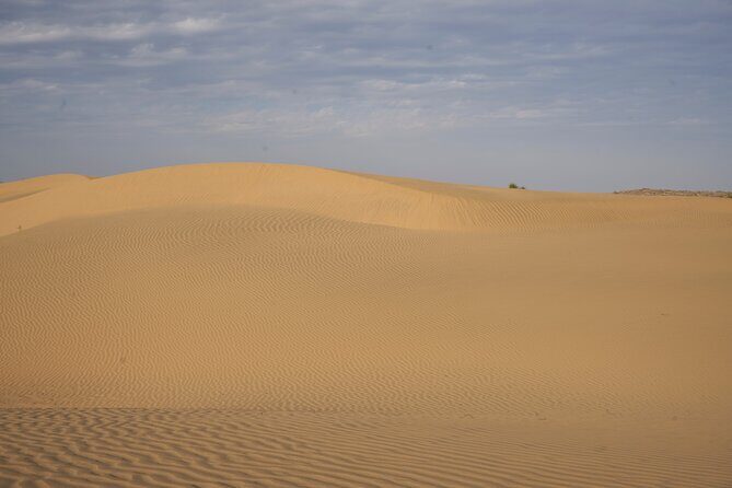 Half Day Camel Safari Sunset with Dinner Tour (Non Touristic) - Exploring the Jaisalmer Camel Safari: What to Expect