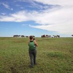 Half Day Chasing Horses Wildlife Photography Experience in North Dakota - Practical Details and Considerations