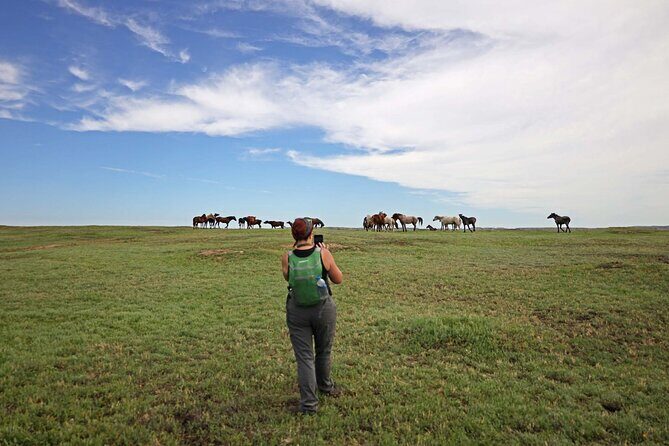 Half Day Chasing Horses Wildlife Photography Experience in North Dakota - Practical Details and Considerations