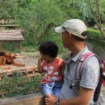Half-Day Chengdu Panda Research Base Private Tour - What Reviewers Say About This Tour