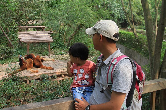 Half-Day Chengdu Panda Research Base Private Tour - What Reviewers Say About This Tour