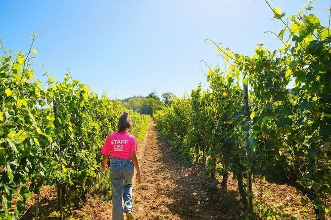 Half day Chianti Vineyard Escape from Florence with Wine Tastings - Who Will Appreciate This Tour?