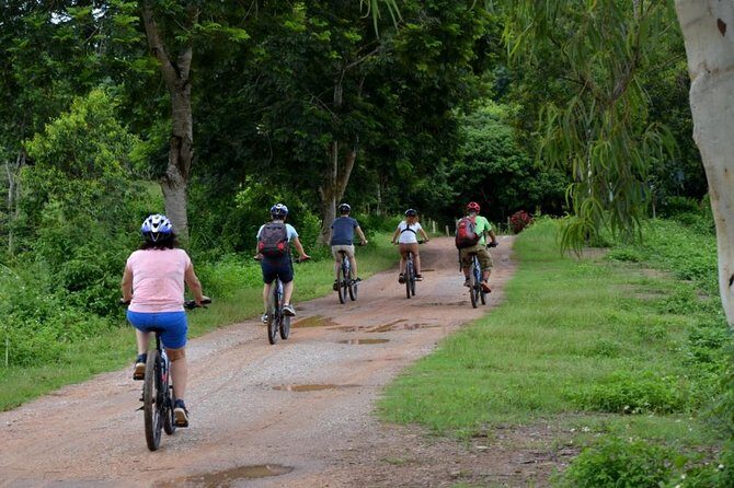 Half Day Cycling Tour to the White temple - What the Reviews Say