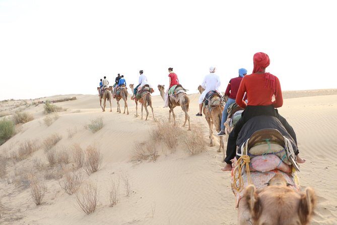 Half Day Desert Safari Jaisalmer - Who Should Consider This Tour?
