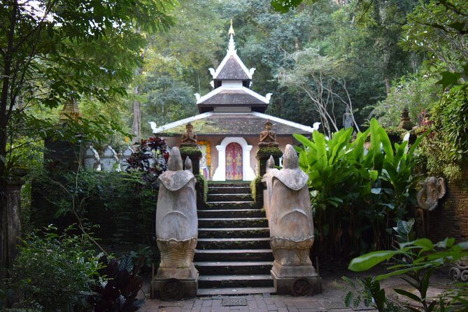 Half Day Doi Suthep Temple and Palad Temple (Private tour) - Authentic Insights from Reviewers