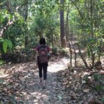 Half Day Doi Suthep Temple and short trekking on monk trail (Private Tour) - The Sum Up