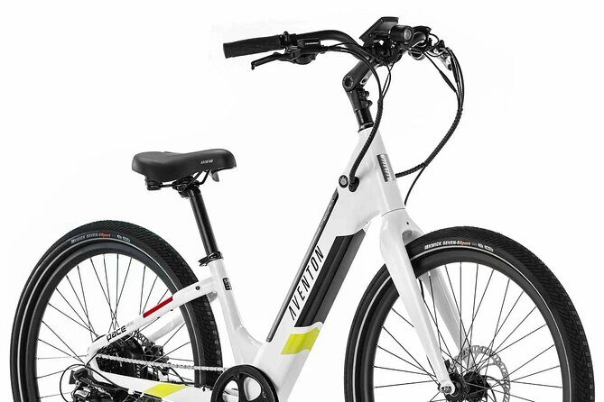 Half Day Electric Bike Rental on the Pinellas Trail - The Rental Experience