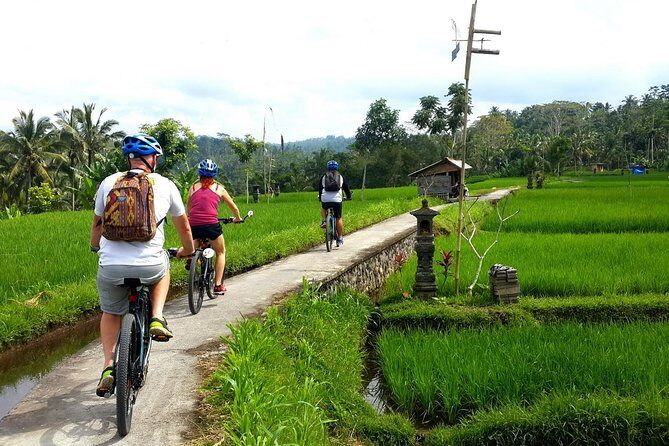 Half-Day Electric Cycling Tour of Ubud - The Sum Up: Is this tour right for you?