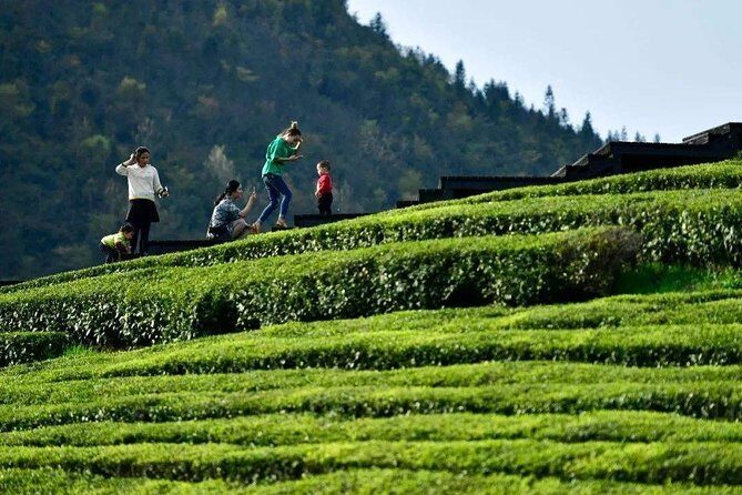 Half-Day Flexible Private Hangzhou Highlight Tour - What Travelers Say