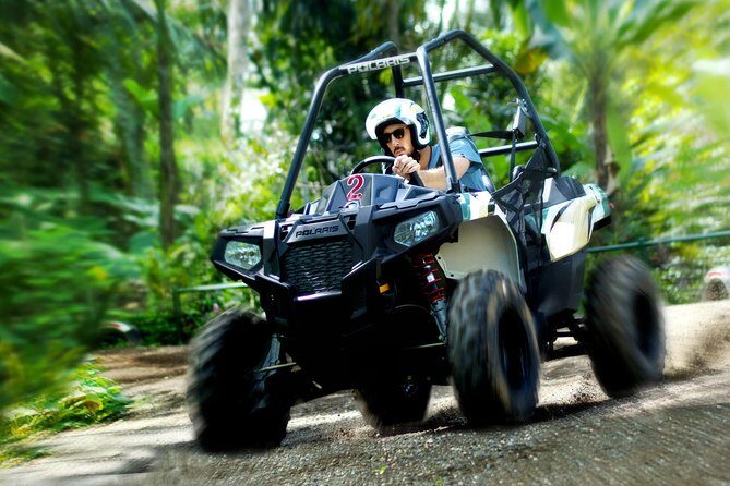 Half Day Jungle Buggies in Bali with Guide - FAQs