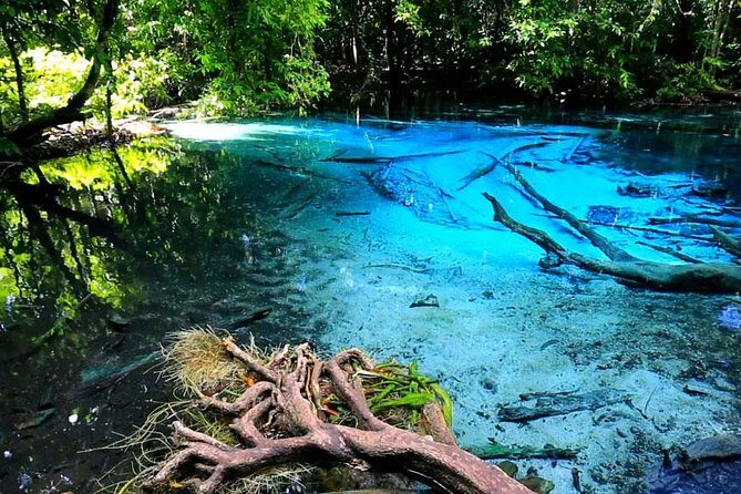 Half Day Jungle Tour to Emerald pool and Krabi Hot Spring - The Pros and Cons