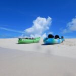 Half-day kayak tour on the Kerama Islands and Zamami Island - Why Choose This Tour?