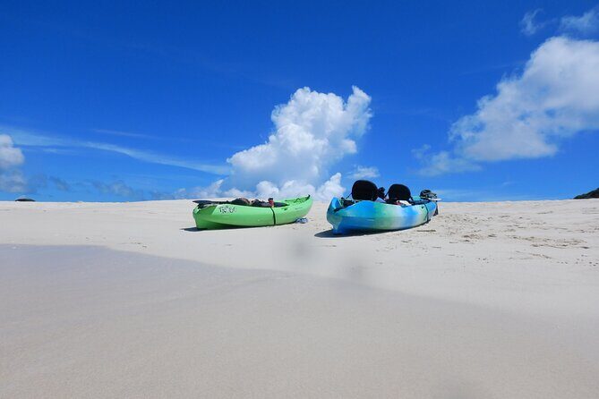 Half-day kayak tour on the Kerama Islands and Zamami Island - Why Choose This Tour?