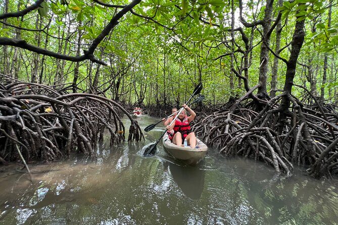 Half-Day Mangrove Kayaking in Langkawi - What Makes This Tour Special?