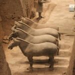 Half-Day Mini Group Xian Tour to Terracotta Warriors Museum - Who Should Consider This Tour?