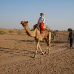 Half day, non touristic sand dune ,camel safari with dinner - Why This Tour Really Shines