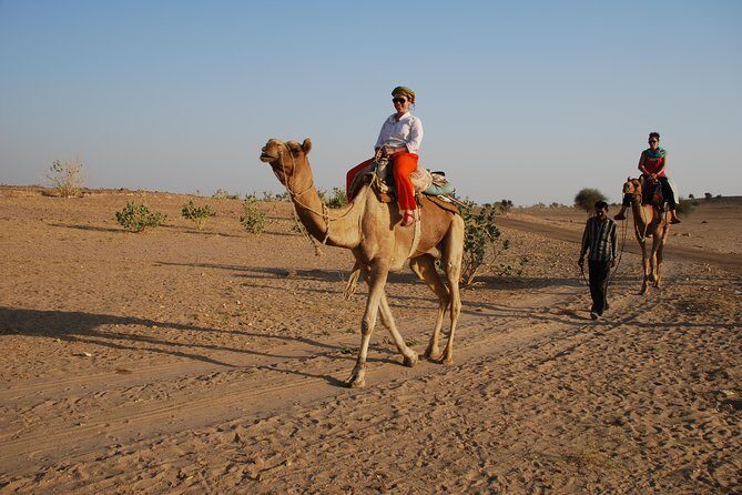 Half day, non touristic sand dune ,camel safari with dinner - Why This Tour Really Shines