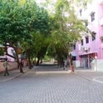 Half-Day Original Eco Tour to Villimale From Malé - Who Will Appreciate This Tour?