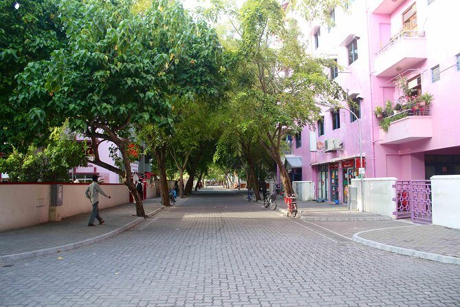 Half-Day Original Eco Tour to Villimale From Malé - Who Will Appreciate This Tour?