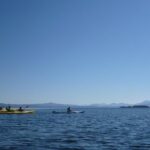 Half Day Paddle on Yellowstone Lake - The Sum Up: Who Should Consider This Kayak Tour?