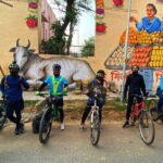 Half-Day Premium Delhi Heritage Cycling Tour - An Illustrious Tryst with time - Practical Details and What to Expect