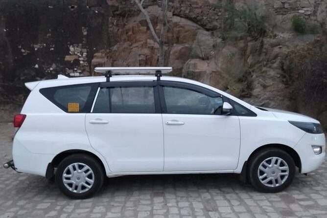 Half-Day Private Sightseeing tour to Wildlife SOS from Agra - Detailed Itinerary Breakdown
