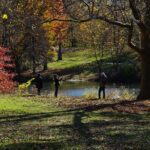Half-Day Private Walking Tour of Central Park - What to Expect on the Day