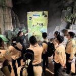Half Day River Monster Tour with Private Guide in Siem Reap - What You Can Expect at Each Part of the Experience