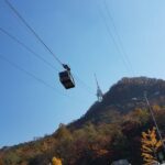 Half Day Seoul Afternoon Food Tour and visit 3 landMarks of Seoul - What to Expect from Each Stop