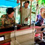 Half Day Silk Island Cruise and Tours with English speaking guide - Transportation and Practical Details