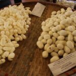 Half-day Silk Weaving Discovery In Hoi An - Second Stop: The Houses and Gardens