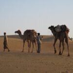 Half-Day Sunset Desert Safari - A Closer Look at the Jaisalmer Sunset Desert Safari