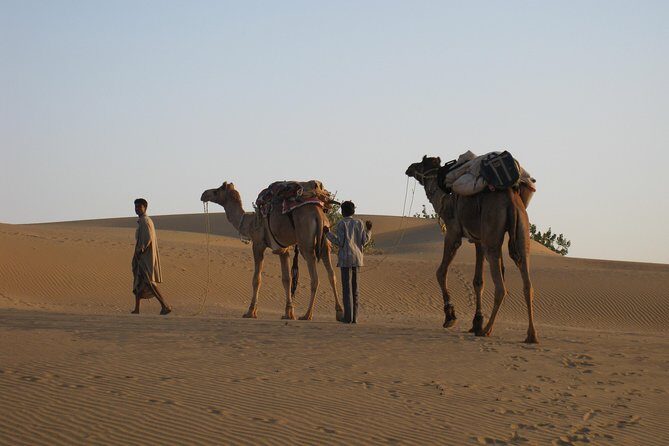 Half-Day Sunset Desert Safari - A Closer Look at the Jaisalmer Sunset Desert Safari